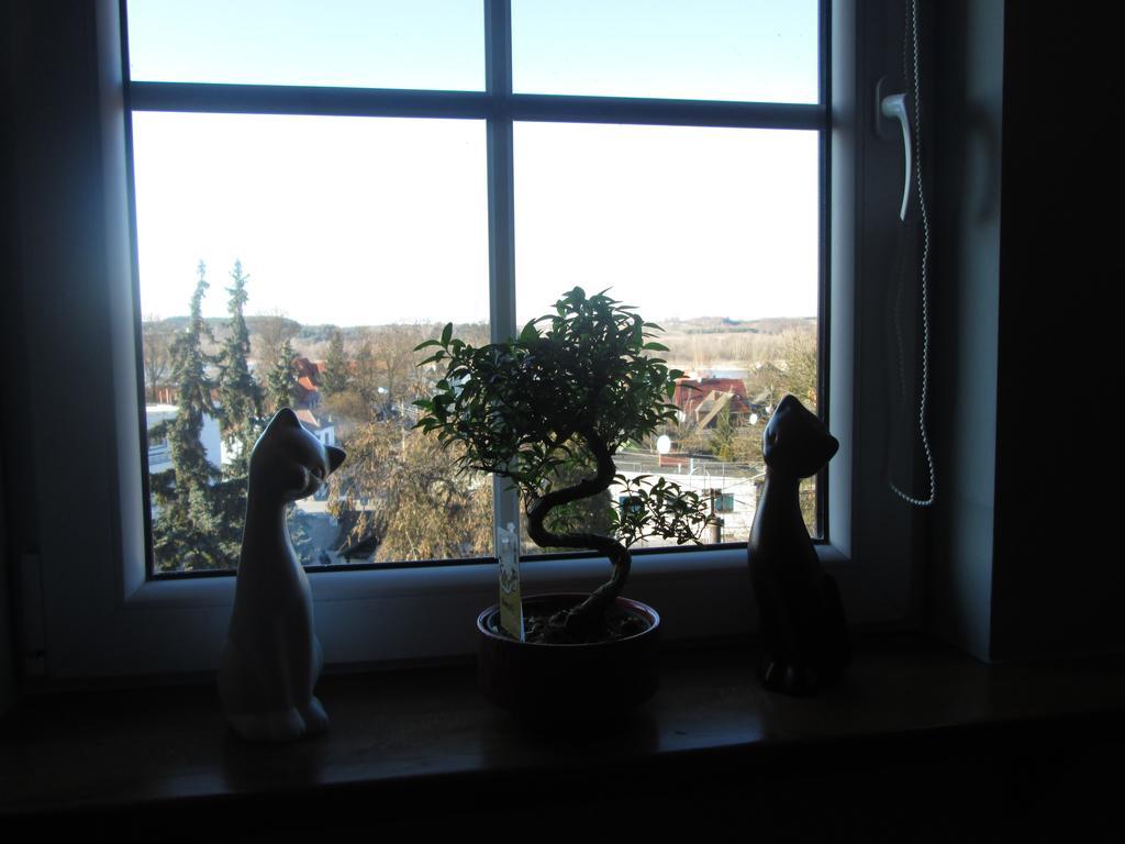 Apartamenty Przy Farze Kazimierz Dolny Rom bilde